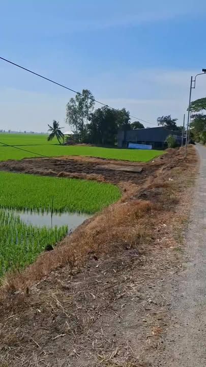 Đất nền Mỹ Phú Đông, Thoại Sơn 3690m² giá 1 tỷ - Đầu tư sinh lời ngay!