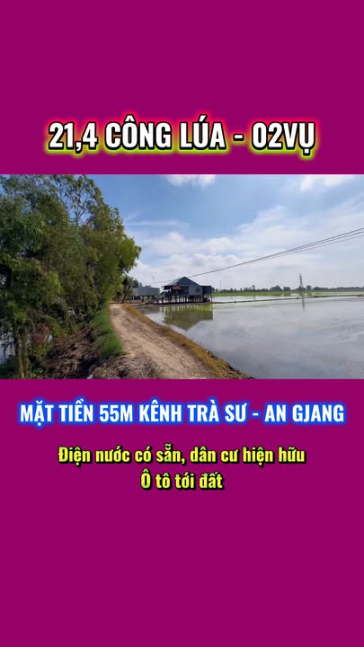Đất lúa 21,4 công tại Tịnh Biên, An Giang - Mặt tiền rộng 55m, giá thỏa thuận!