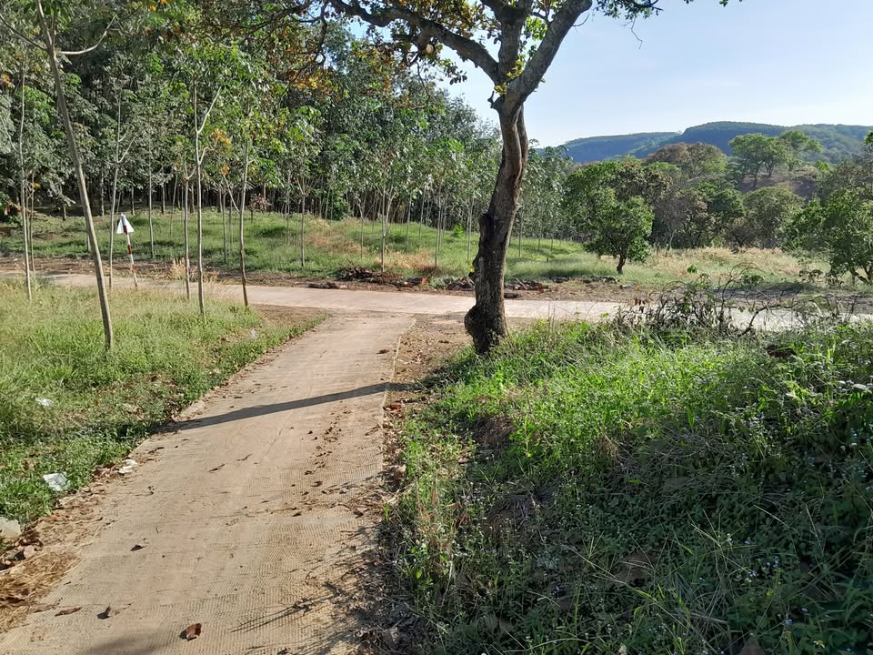 Đất rẫy Bù Đăng 8,6 sào giá 750 triệu - Cơ hội đầu tư tuyệt vời!