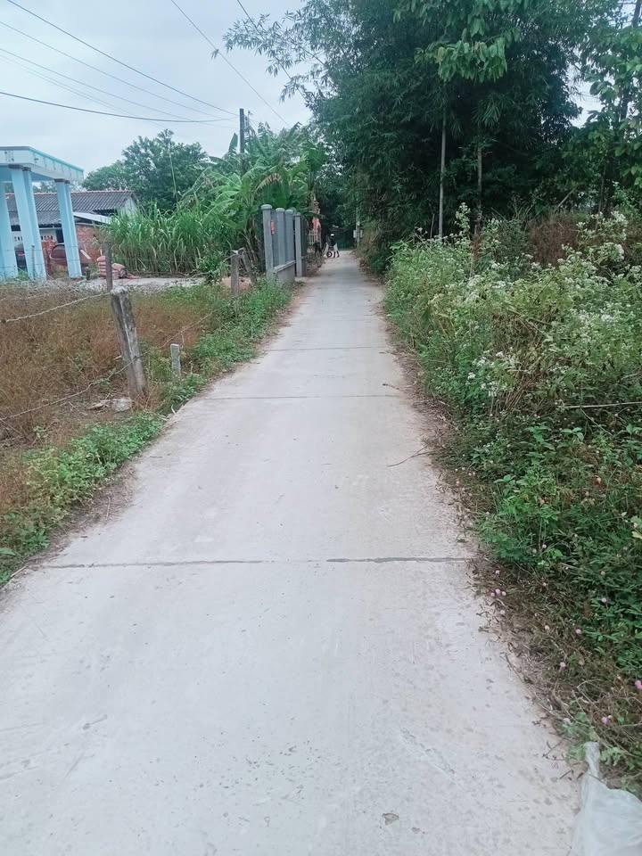 Đất mặt tiền đường bê tông 702m² giá 540 triệu - Vị trí thuận lợi cho đầu tư