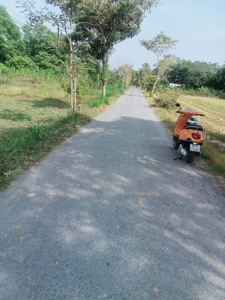 Đất mặt tiền đường nhựa xã Nhị Trường 1320m² giá chỉ 500 triệu - Đầu tư sinh lời!