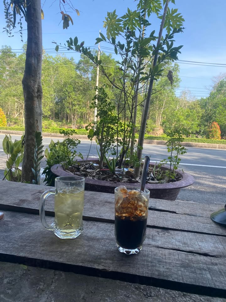 Đất nền Phú Quốc 132m² giá 1.4 tỷ - Cơ hội đầu tư lý tưởng!