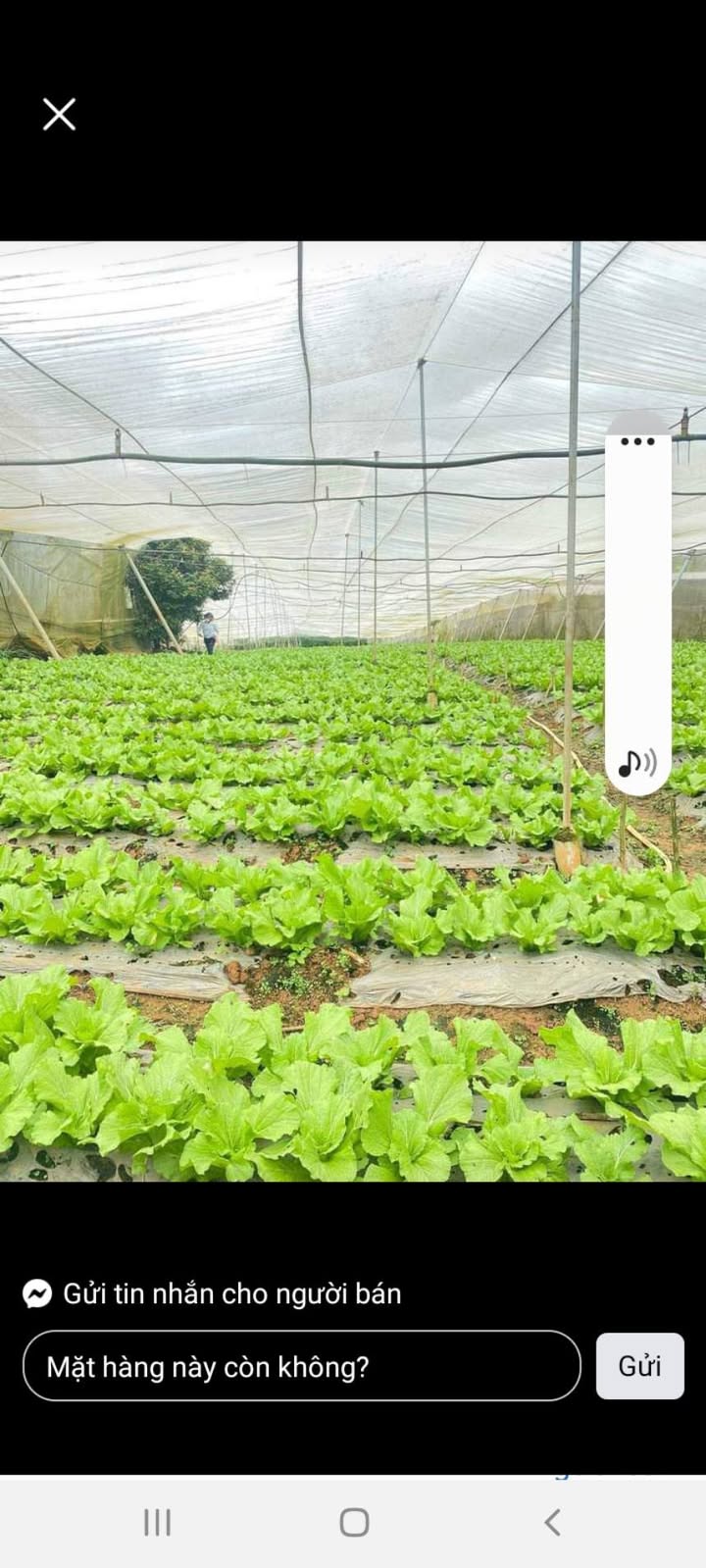 Đất vườn Ka Đô Đơn Dương 7.814m² - Đầu tư sinh lời ngay!