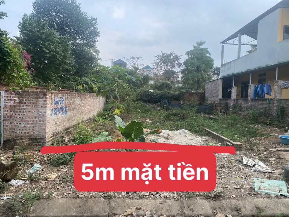 Đất nền tái định cư Vai Réo, Quốc Oai, 100m² - Đường mặt tiền 5m, giá thỏa thuận!