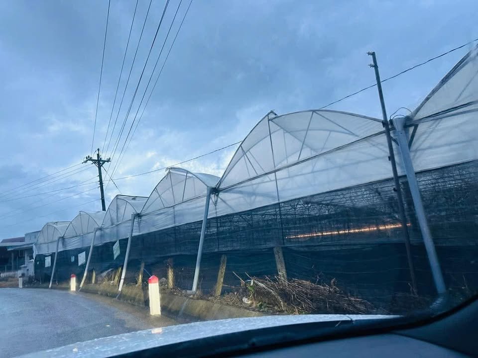 Đất mặt tiền DT729 Đơn Dương 4.864,5m² giá 8.5 tỷ - Đầu tư sinh lời hấp dẫn!