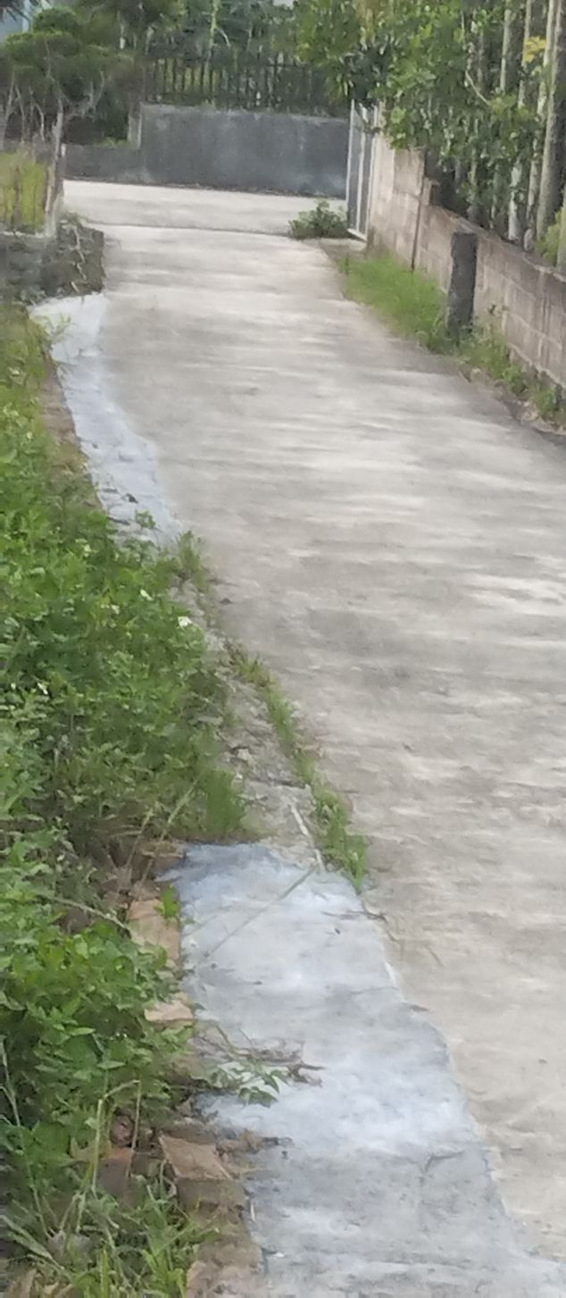 Đất thổ cư tại xã Tam Đa, Vĩnh Bảo, Hải Phòng 100m² giá 900 triệu - Sổ đỏ chính chủ!