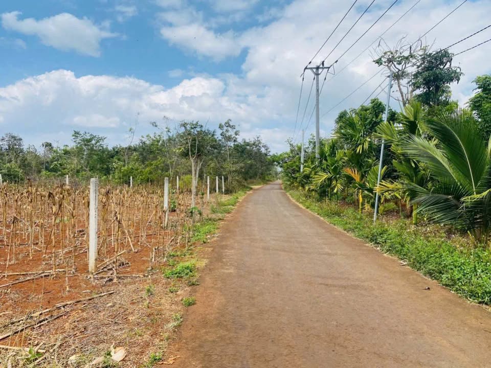 Đất Hẻm Hòa Xuân, Buôn Ma Thuột 105m² giá 560 triệu - Cơ hội đầu tư hấp dẫn!