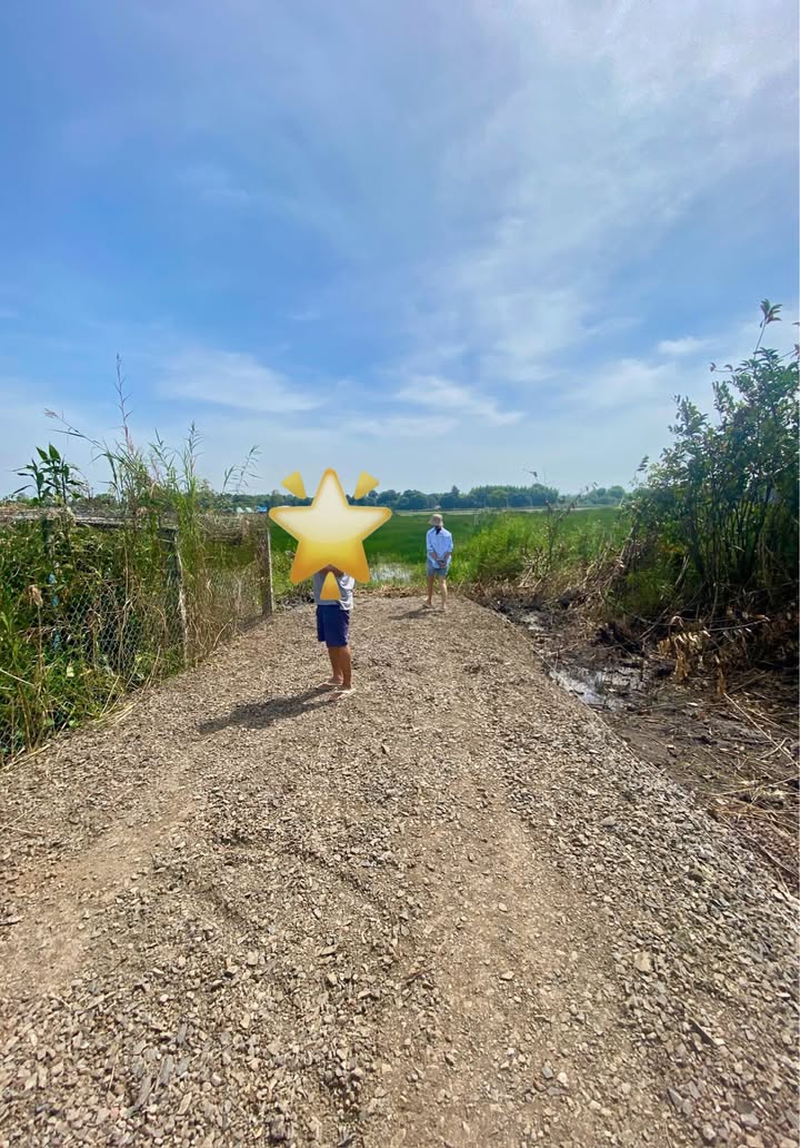 Đất thổ cư Phước Hải 5000m² giá chỉ 3.9 tỷ - Cơ hội đầu tư hiếm có!