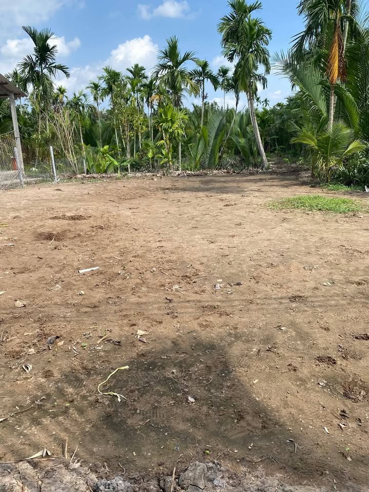 Đất nền biệt thự Ấp 7 Bình Hòa 834m² giá 430 triệu - Sẵn sàng xây dựng ngay!