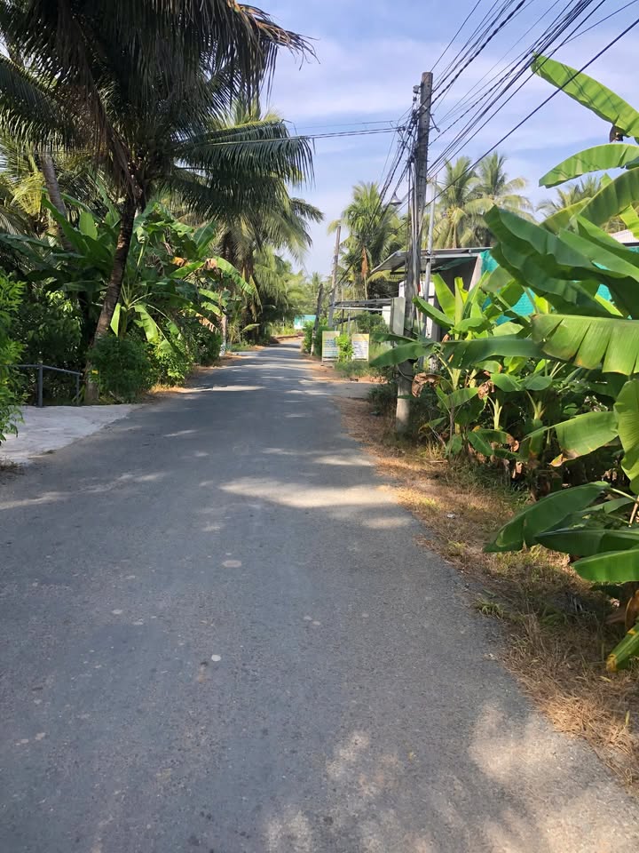 Nhà mặt tiền đường nhựa xã Vang Quới Tây, 150m², giá chỉ 800 triệu - Cơ hội đầu tư tốt!