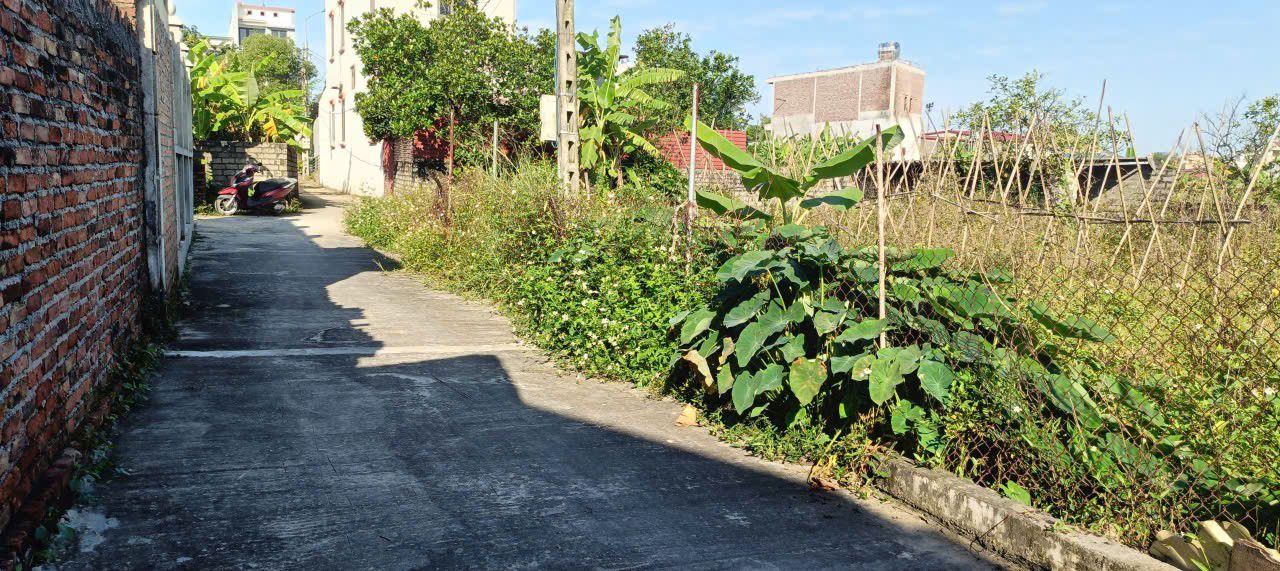 Đất nền Lạng Giang 113m² giá 1 tỷ - Gần cụm công nghiệp Tiên Sơn!