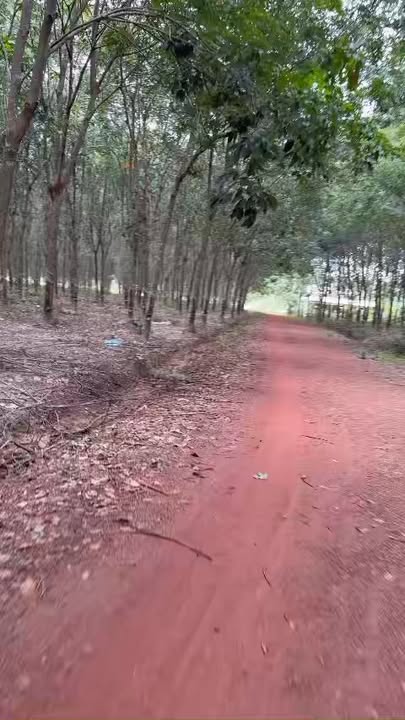 Lô đất Đất Cuốc 18, Tân Uyên 10800m² giá 6 tỷ - Cơ hội đầu tư tuyệt vời!