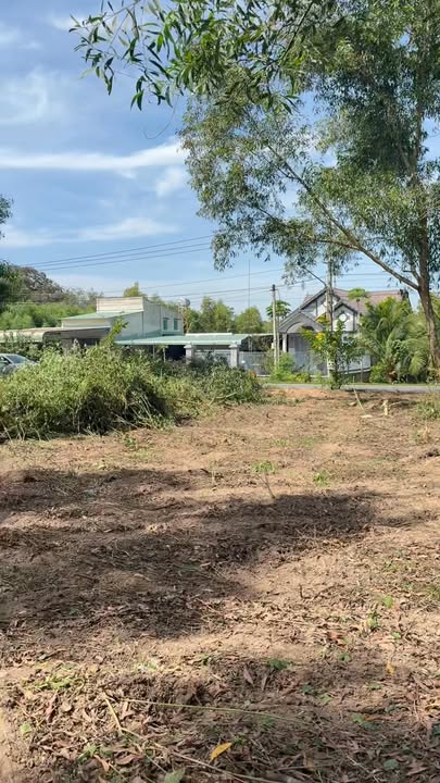 Đất nền mặt tiền đường DH515 Phước Hoà 330m² giá 2.05 tỷ - Cơ hội đầu tư hấp dẫn!