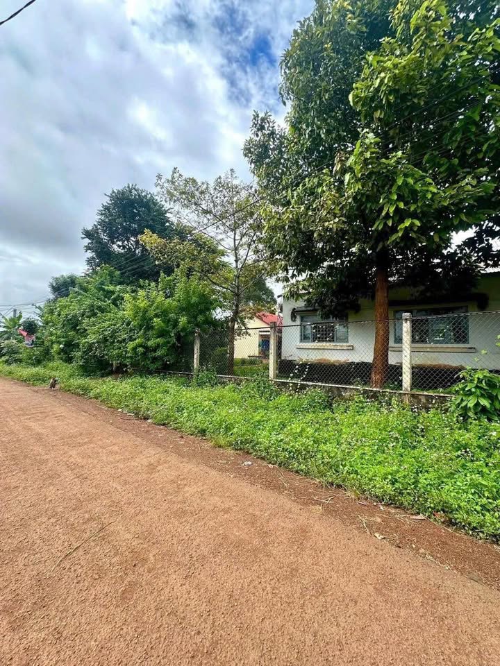 Đất liền kề tại xã Cư M’gar, Đắk Lắk - 264m² chỉ 850 triệu - Đầu tư sinh lời ngay!