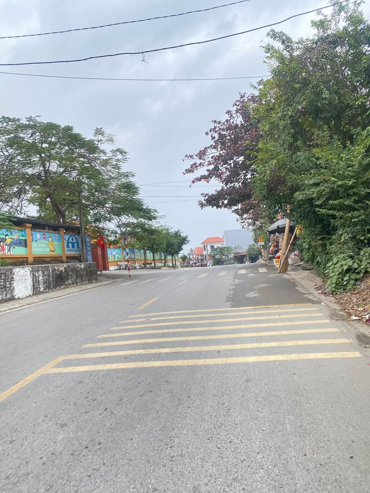 Đất nền Đồng Việt Yên Dũng 175m² giá 1 tỷ - Đầu tư sinh lời ngay!