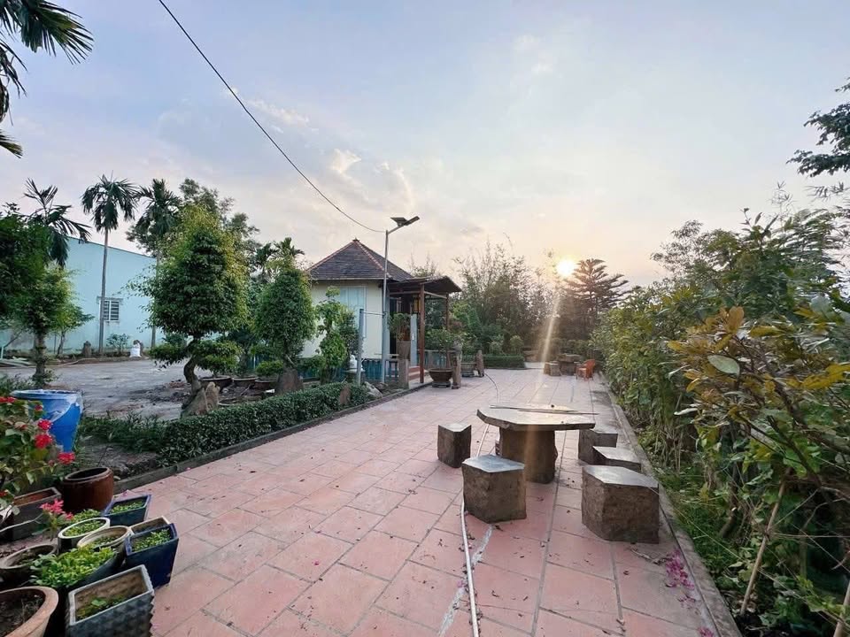 Biệt thự vườn 1000m² tại Trảng Dài - 10 triệu/tháng, không gian xanh lý tưởng!