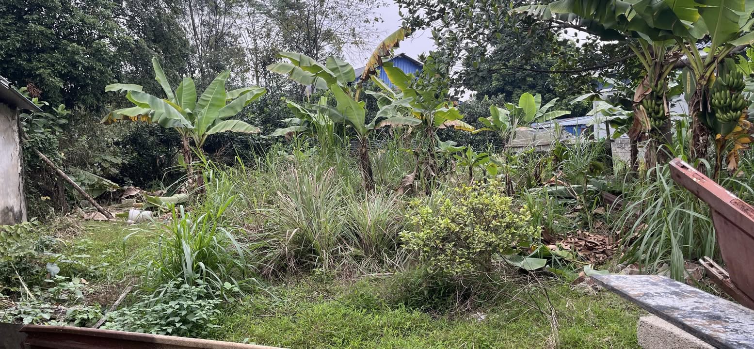 Đất nền Tích Lương Sông Công 433m² - Diện tích vuông vắn, thuận tiện xây dựng!