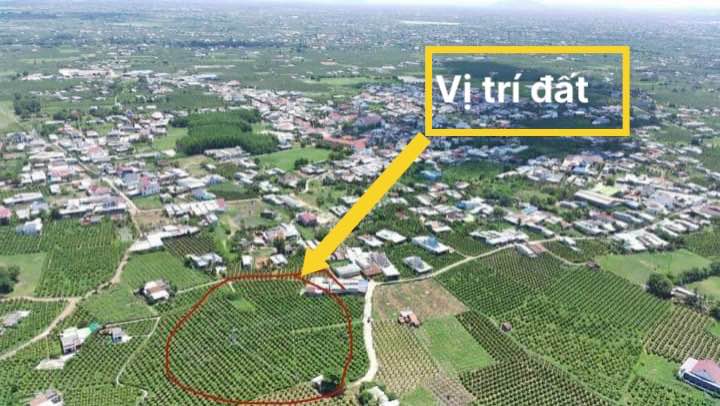 Đất nông nghiệp 1ha tại thôn Phú Sum, xã Hàm Mỹ - Đầu tư sinh lời tiềm năng!