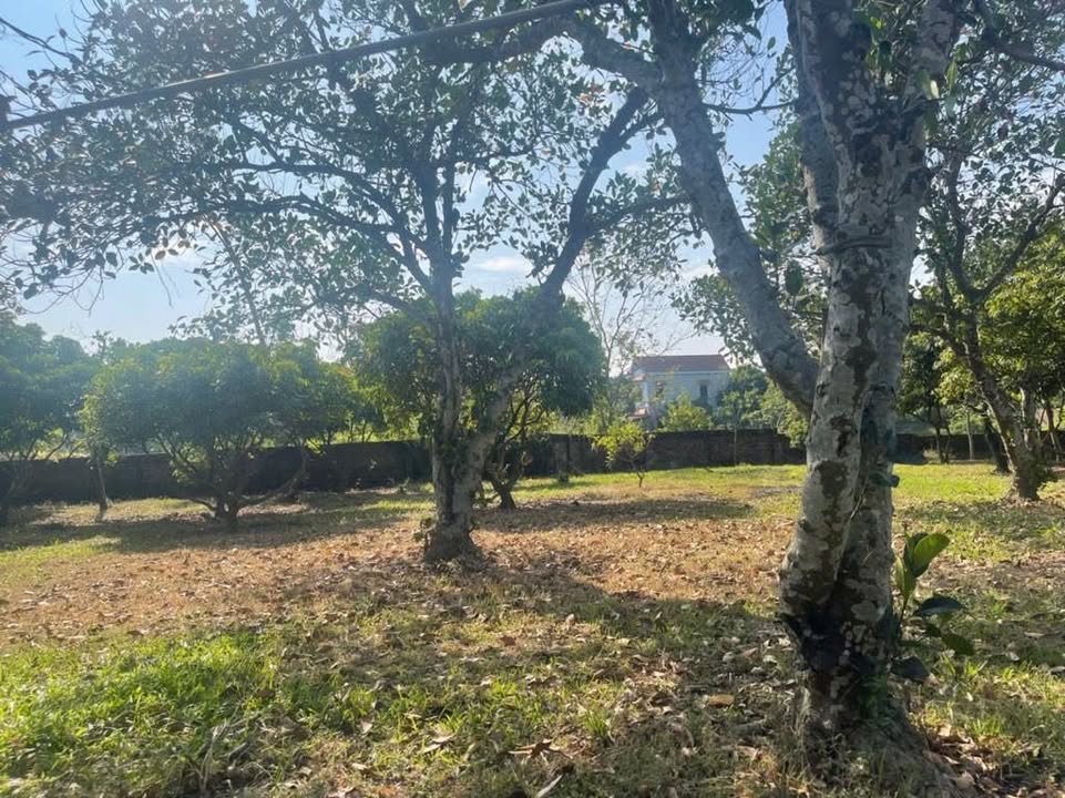 Đất nền Minh Phú - Sóc Sơn 5.377m² giá thỏa thuận - Đầu tư sinh lời ngay!