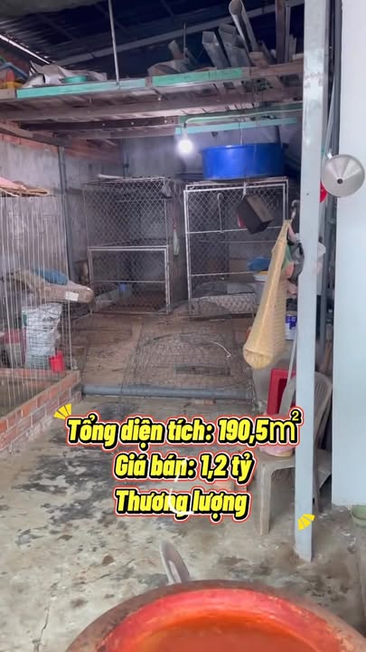 Đất nền liền kề tại Hẻm Nguyễn Tri Phương, Châu Đốc, An Giang - Giá chỉ 1.2 tỷ, thương lượng!