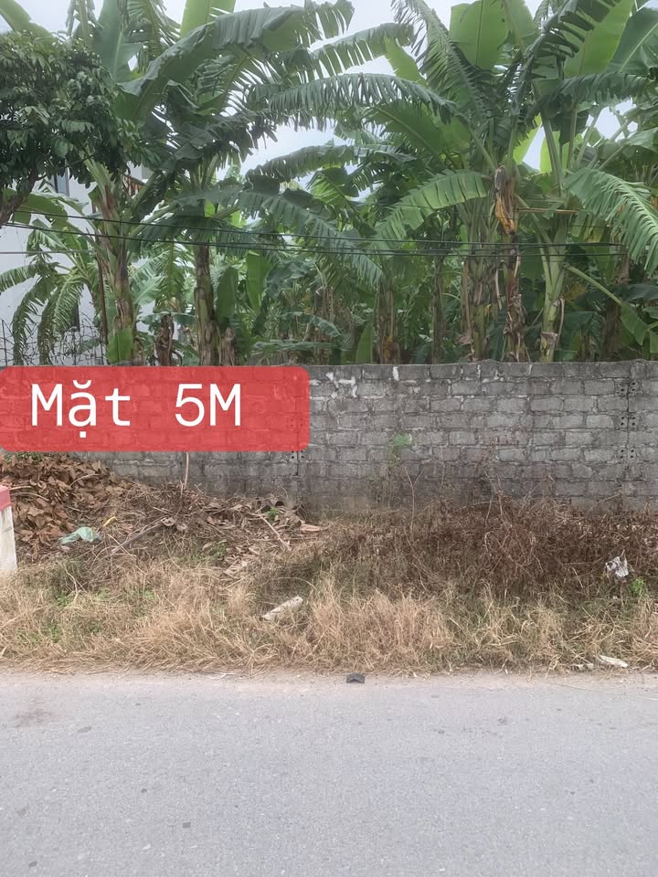 Đất nền An Thanh Tứ Kỳ 130m² giá 2 tỷ - Tiềm năng kinh doanh vượt trội!