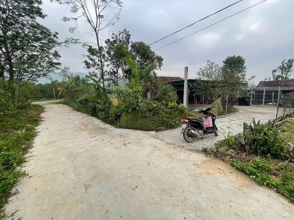 Đất nền Yên Thành 200m² giá 400 triệu - Đầu tư sinh lời ngay!