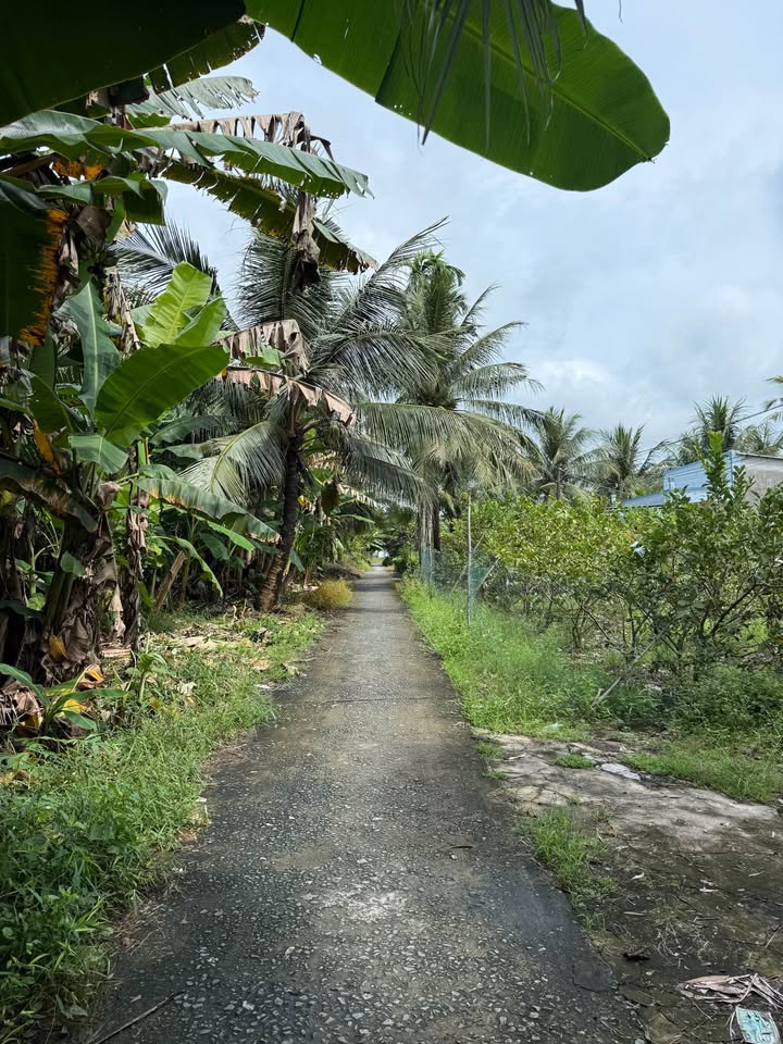 Đất nền 250m² Đường Kênh Mới, xã Hỏa Lựu, giá chỉ 299 triệu - Đầu tư sinh lời ngay!