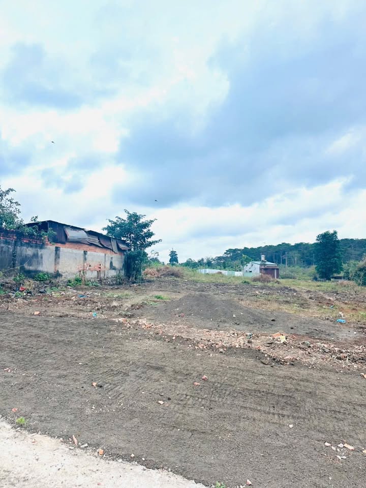 Lô đất thổ cư 5,3 sào tại Hẻm 293 Nguyễn Thị Định Buôn Ma Thuột - Giá chỉ 6 tỷ!