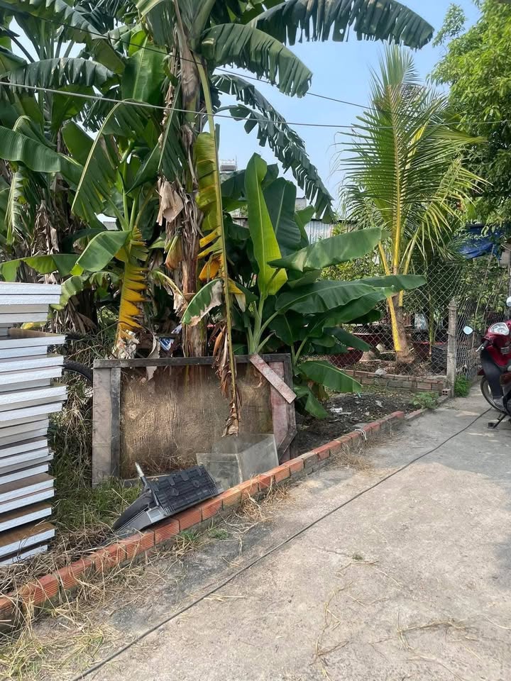 Đất Thới Tam Thôn Hóc Môn 90m² giá 1.25 tỷ - Sổ đỏ chính chủ, đầu tư sinh lời!