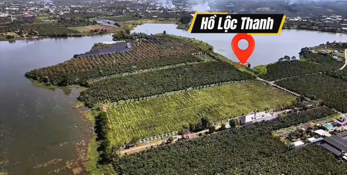 Đất nền Bảo Lộc 41000m² giá thỏa thuận - Đầu tư sinh lời tiềm năng!