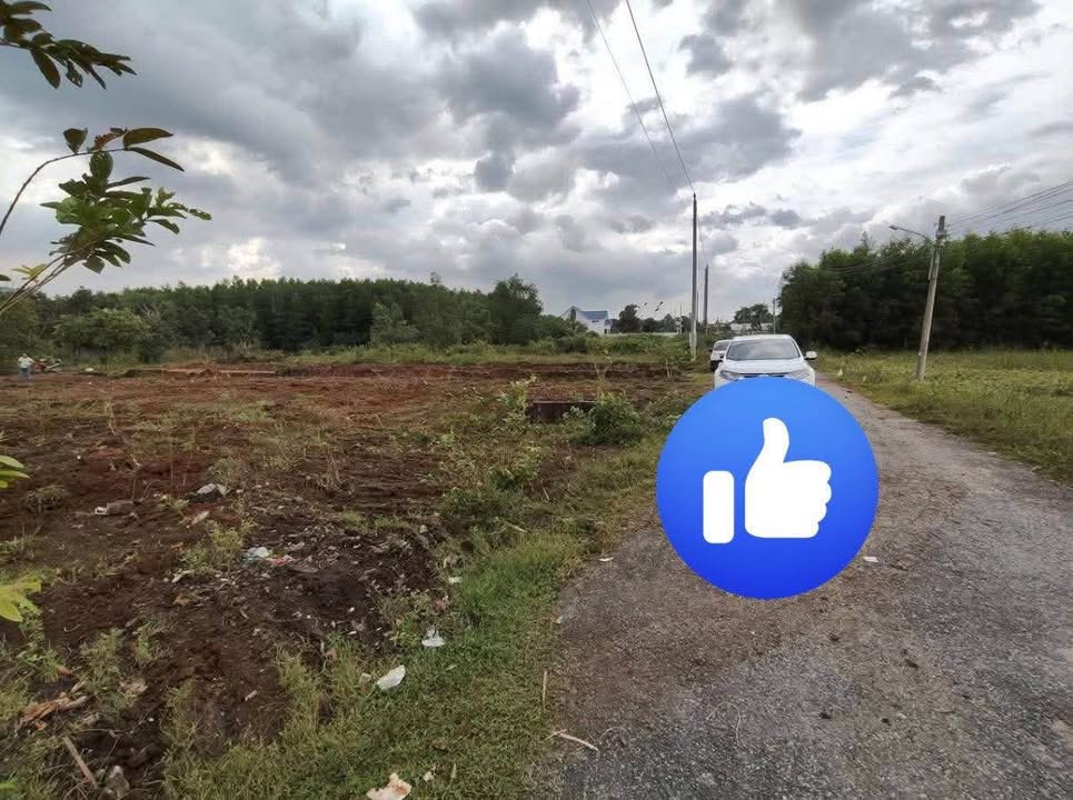 Đất nền Tóc Tiên Phú Mỹ 1800m² giá chỉ 290 triệu - Cơ hội đầu tư tuyệt vời!