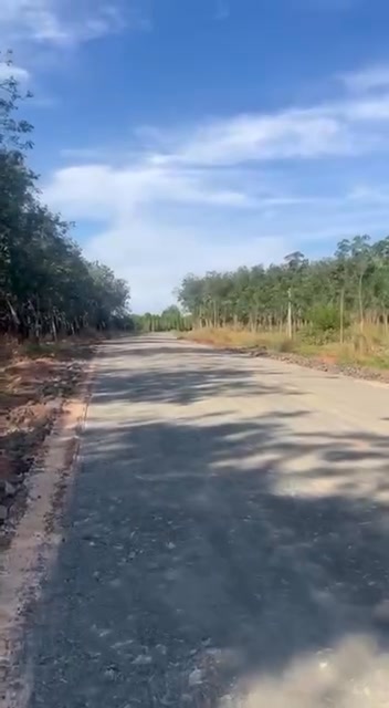 Đất nền Long Tân, Phú Riềng 185m² giá 2.7 tỷ - Cơ hội đầu tư hấp dẫn!