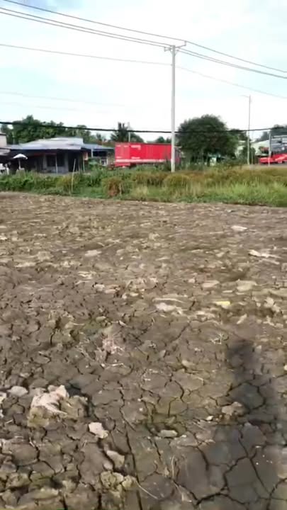 Bán đất mặt tiền Tôn Đức Thắng, Thới Long, 5385m² giá 41 tỷ - Đầu tư sinh lời ngay!