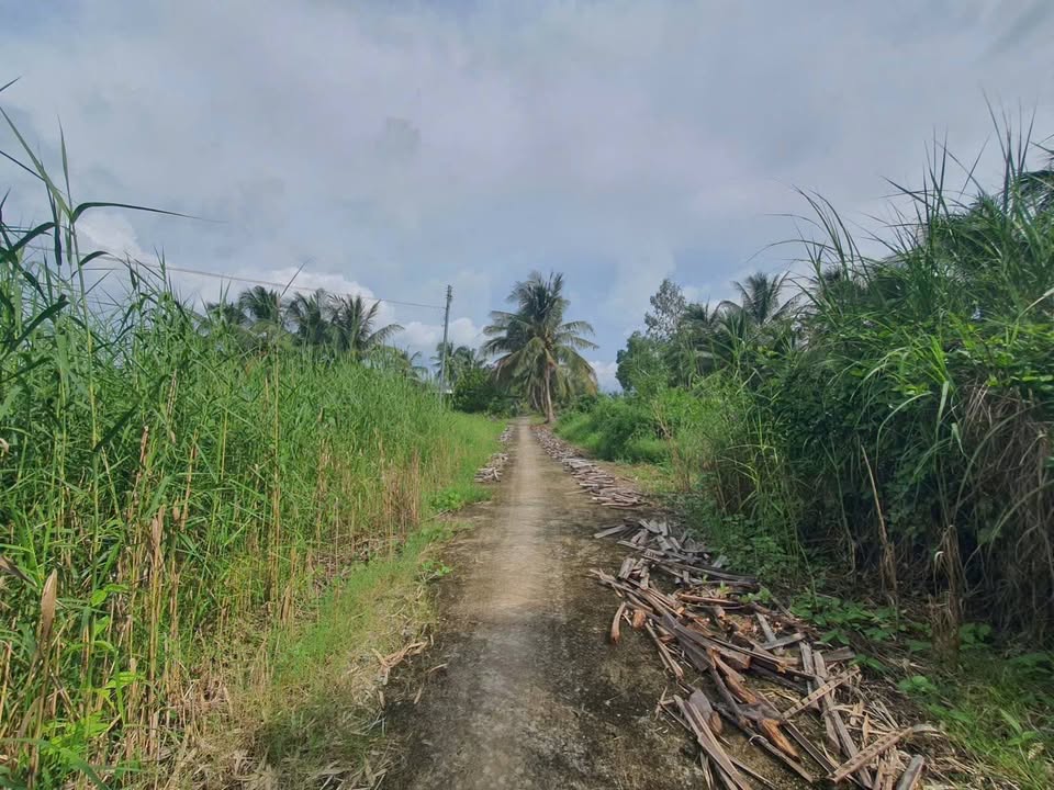 Đất thổ cư 167,3 m² xã Thạnh Lộc, Châu Thành, Kiên Giang - Đầu tư lý tưởng chỉ 290 triệu!