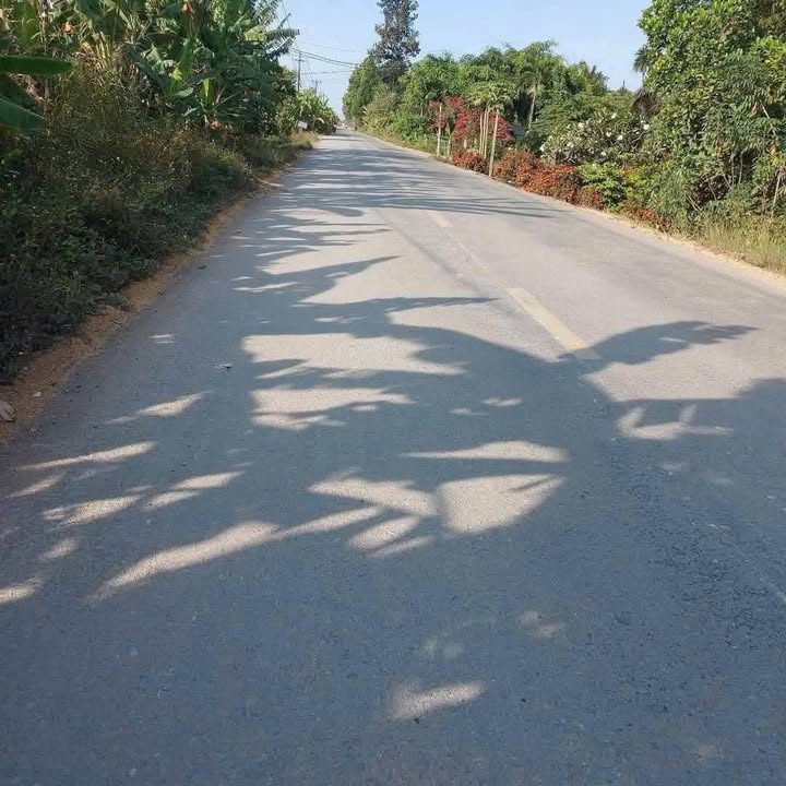 Nhà Mặt Tiền Đường Quốc Lộ Giao Long, Châu Thành, Bến Tre 208m² giá 2 tỷ - Vị trí kinh doanh đắc địa!