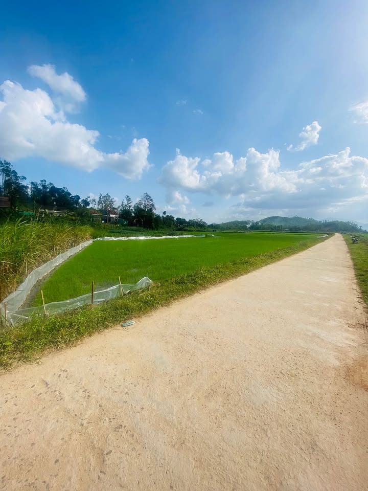 Đất nền 642m² tại Vân Tưởng, Bình Hòa - Sổ hồng chính chủ, giá thỏa thuận!