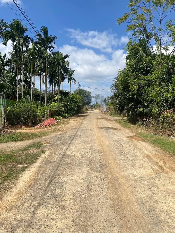 Đất thổ cư Ea T'Linh 600m² giá 7.2 tỷ - Cơ hội đầu tư hấp dẫn!