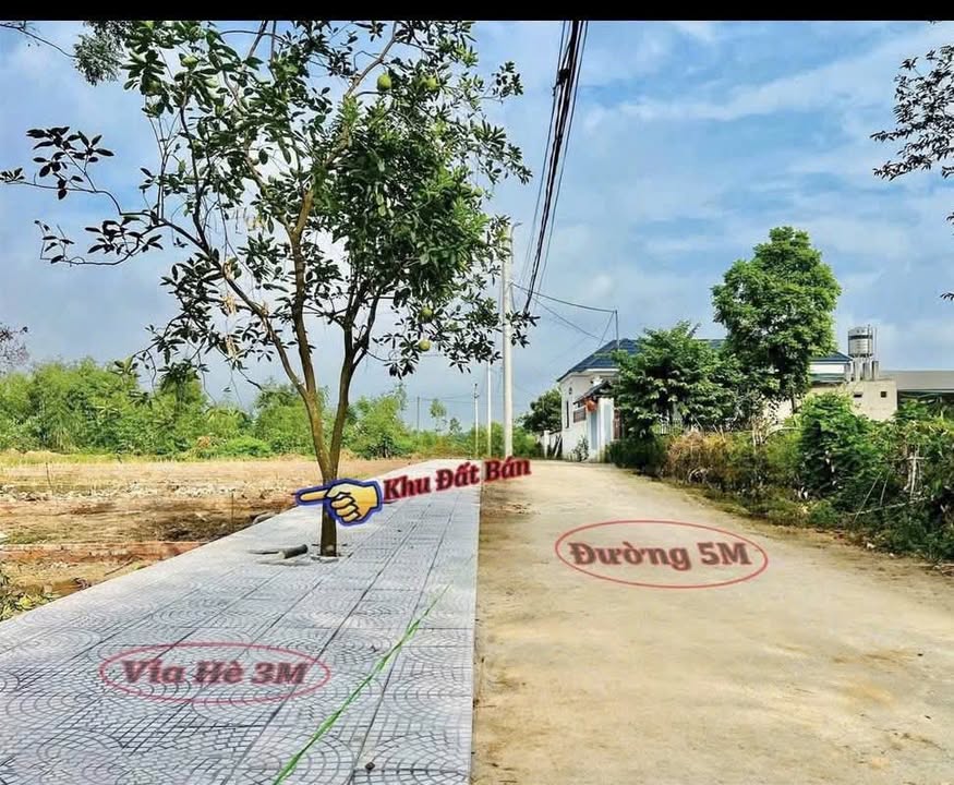 Đất nền Thanh Vân Tam Dương 160m² giá 1.4 tỷ - Hàng hiếm, sổ đỏ chính chủ!