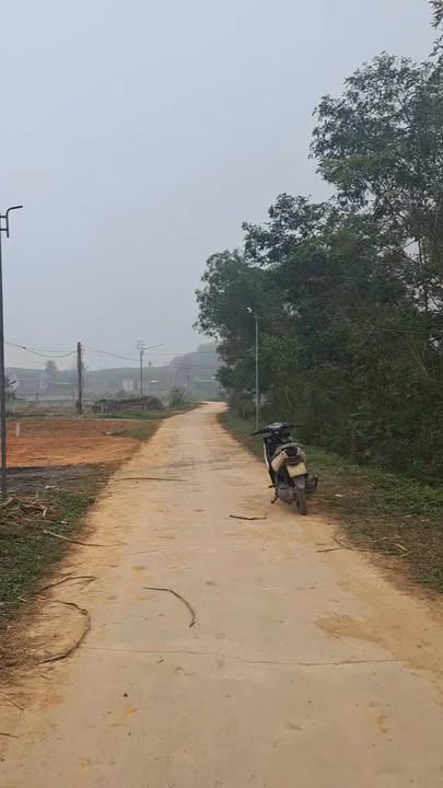 Đất nền Nghĩa Lộc 300m² giá thỏa thuận - Vị trí đắc địa bám đường bê tông