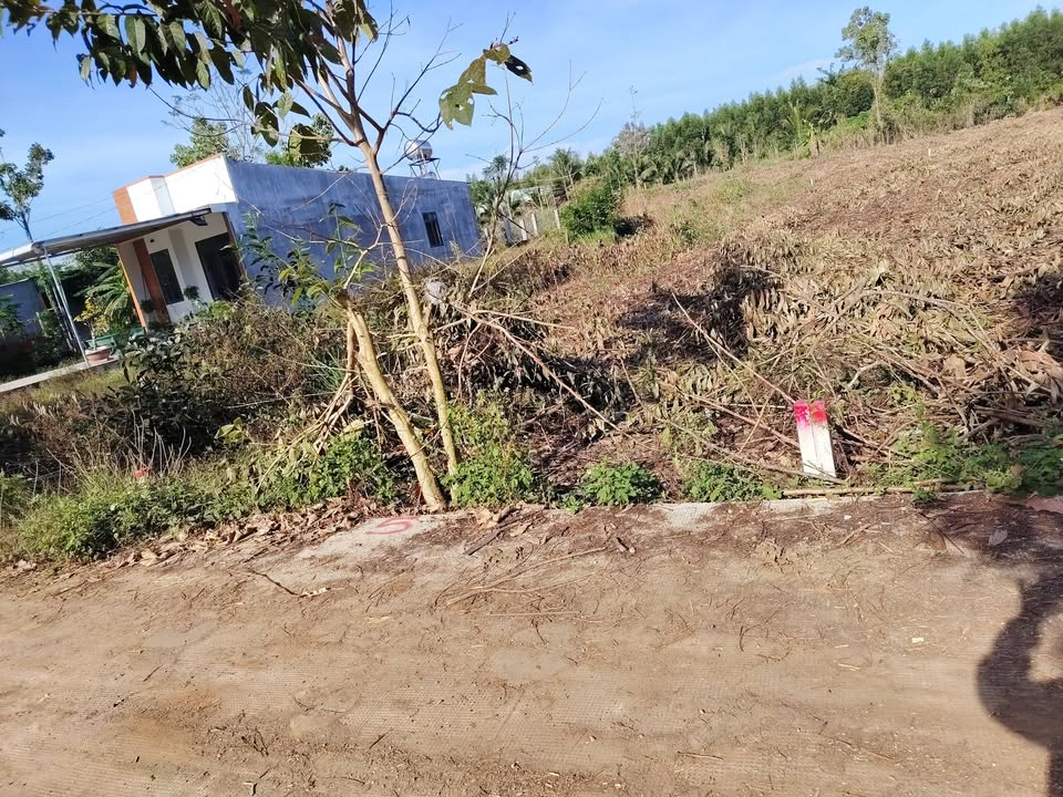 Đất thổ cư 175m² tại Gia Ray, Xuân Lộc - Sổ đỏ chính chủ, giá chỉ 499 triệu!