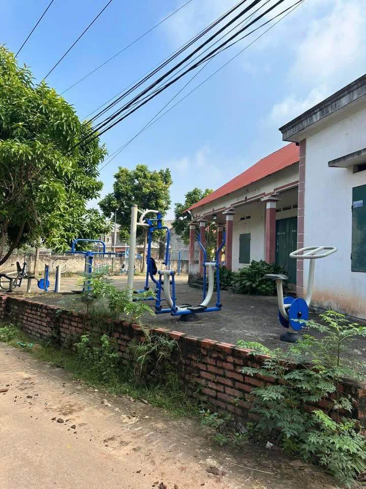 Đất thổ cư Hướng Đạo, Tam Dương 103m² giá 900 triệu - Đầu tư sinh lời ngay!