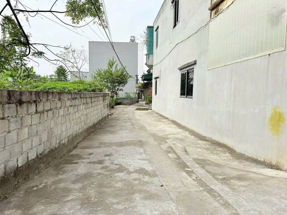 Lô đất Phú Xuân Thái Bình 45.5m² giá 1.2 tỷ - Tiềm năng tăng giá rõ rệt!