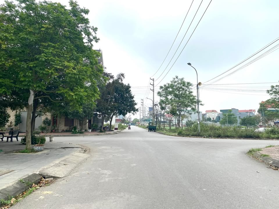 Đất nền trục chính Trần Danh Tuyên, Đồng Sơn 90m² giá 3 tỷ - Vị trí kinh doanh lý tưởng!