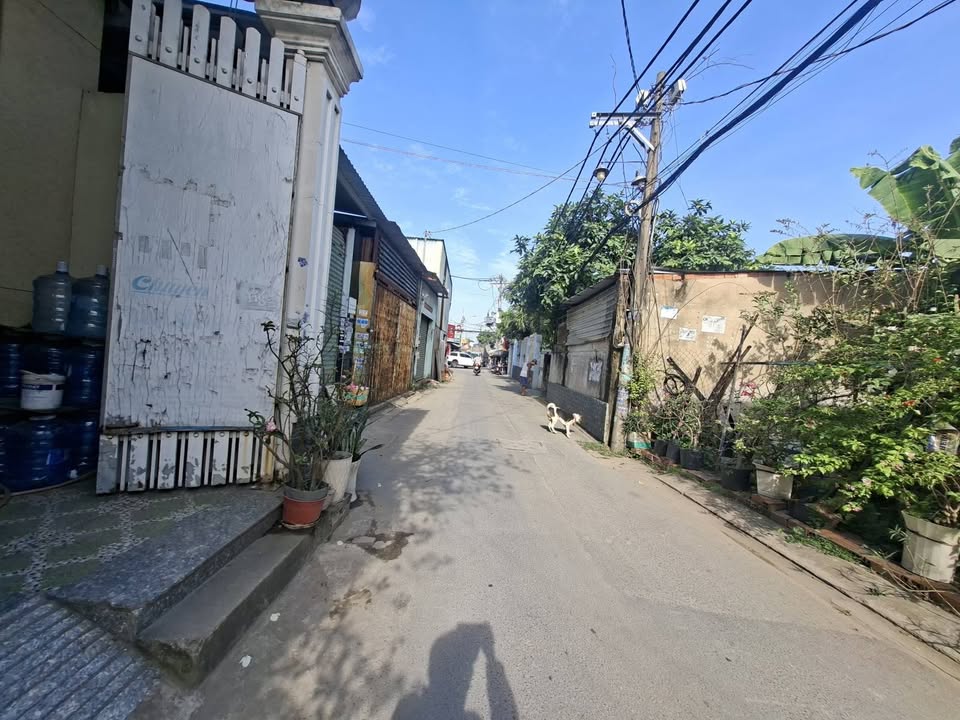 Nhà phố Bến Lội, Bình Tân 122m² giá 6 tỷ - Tiềm năng đầu tư cao!