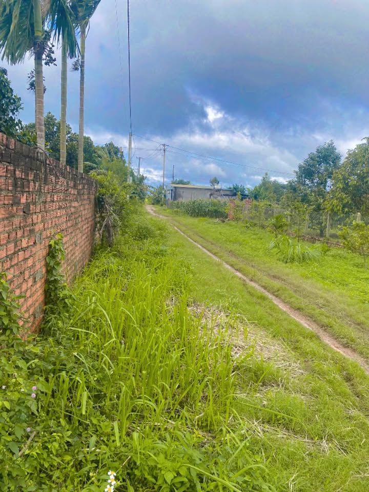 Đất nền Cư Ni, Ea Kar 375m² giá 600 triệu - Đầu tư sinh lời ngay!