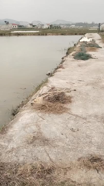 Đất nền Quỳnh Hoa, Quỳnh Lưu 190m² giá 400 triệu - Cơ hội đầu tư tuyệt vời!