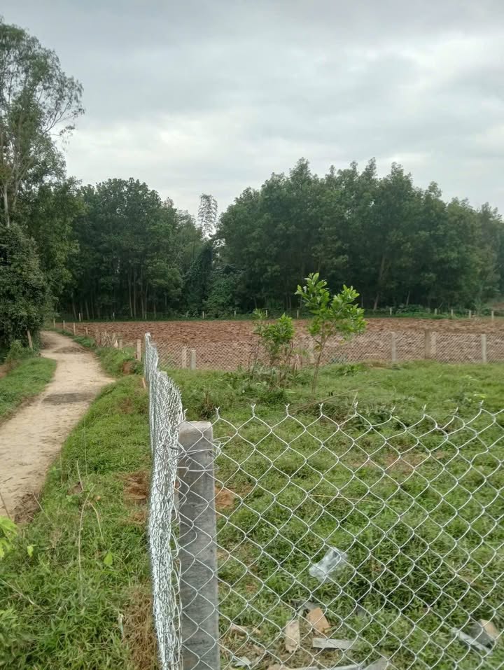 Đất nền Hòa Nhơn Đà Nẵng 500m² giá 200 triệu - Sổ hồng quy chủ chính chủ!