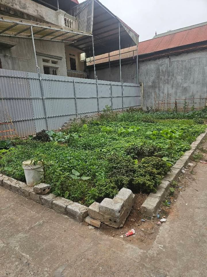 Đất Vạn Điểm Thường Tín 82m² giá 3 tỷ - Lô góc ô tô vào tận nơi!