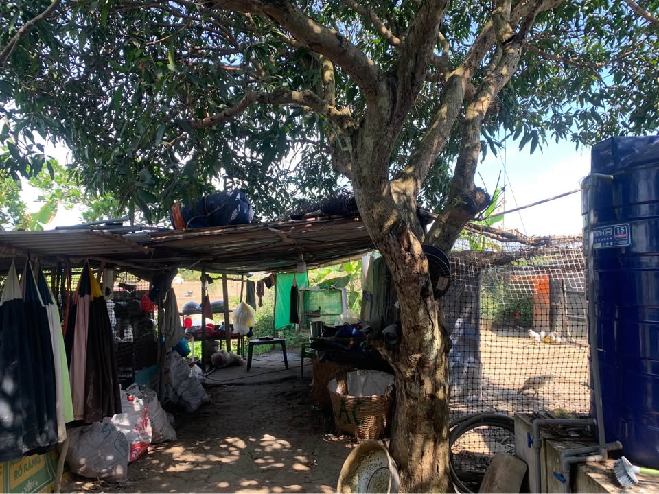 Đất vườn 900m² Tân Khánh giá 950 triệu - Chính chủ bán gấp!