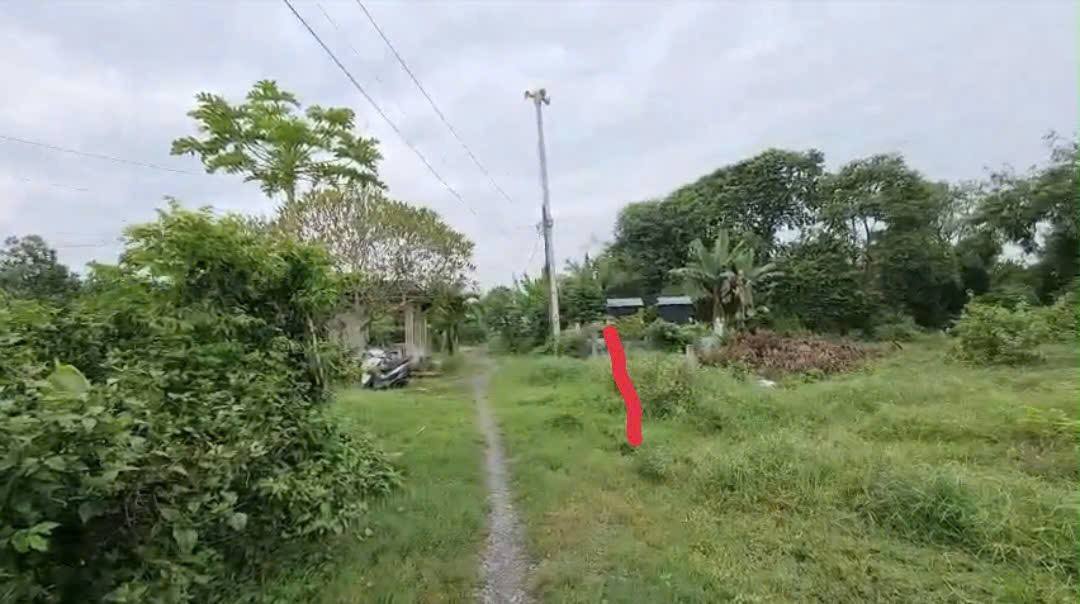 Đất thổ cư xã Thái Mỹ, Củ Chi 429m² giá 1.6 tỷ - Cơ hội đầu tư tuyệt vời!